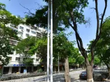 西站 糖酒公司家属院 三室一厅 随时看房 产权清晰