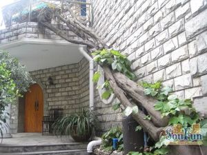 十八步岛5室2厅南