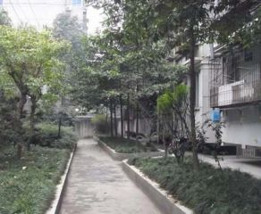 青华路24号3室1厅南北