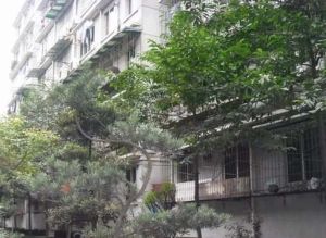 青华路24号3室1厅南北