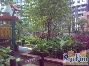 丰泽华庭3室2厅2卫东南朝向2500.00元/月出租