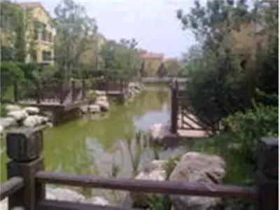 庭院小区