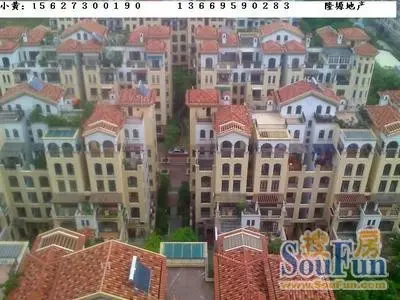 庭院小区