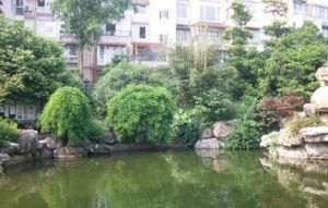 林涧花语3室1厅东南