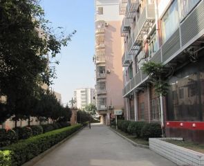 新龙津小区3室2厅南北