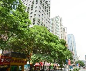 西关十字田园之家一楼房子可当商铺
