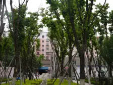 三室好房出售 森林小区 欧式建筑