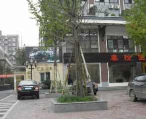 欧城雅典2室2厅南