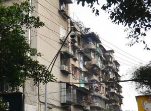 金琴路南一巷1号2室1厅东南