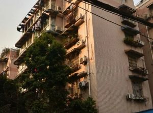 杏苑 3室2厅 南