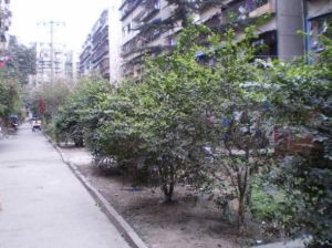 营和街9号2室2厅南
