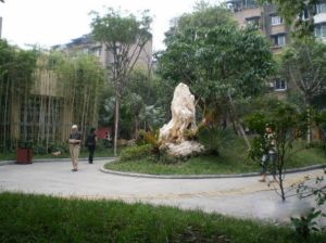 青西路2号2室1厅南