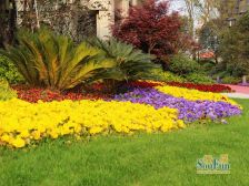 盛和花半里 2室2厅 南