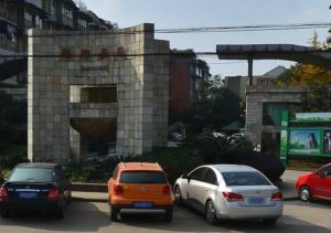 丽阳嘉园 2室1厅 南 北