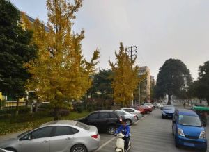 鑫源锦城花园3室1厅西南