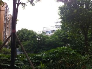 时代锦城3室2厅南
