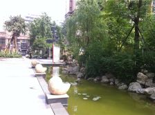 瑞升望江橡树林二期 1室1厅 南