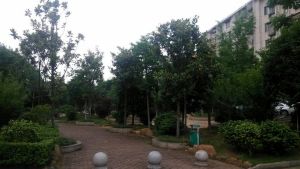 鼓风机厂宿舍2室2厅南
