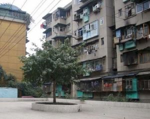 双林路44号2室2厅南