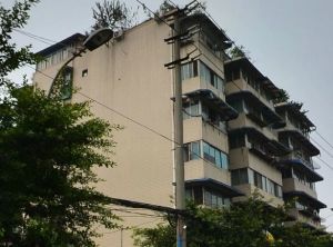 金昌苑3室1厅东南