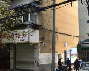 金沙巷16号2室1厅东南