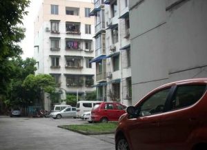 柳河苑3室2厅东南