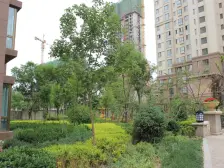 上西园 电梯房 园林小区 人车分流 产权清晰 可以按揭