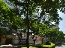 西津西路主干道旁交通便利南北通透采光无遮挡随时看房