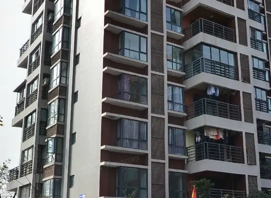 魅力阳光