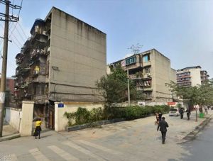 光荣西路65号2室2厅南
