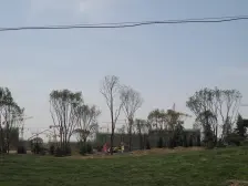 大名城别墅双首层带车位前后花园地下室小区环境优美