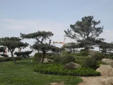 此房满三,南北通透,产权清晰 价格便宜小区 环境舒适