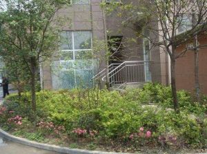 钻石年代 3室1厅 东南