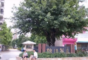 业主诚心急卖,价钱好商量,低层望花园