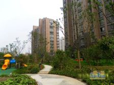 成熟社区生活便利小区环境优越户型方正