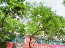 科苑一区 1室1厅南北 楼层好 采光好 视野好