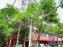 南昌路 中科院一区 一室一厅 紧凑小户型 无浪费