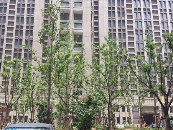 新梅华府