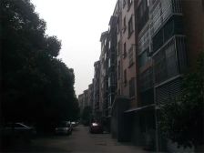 独栋别墅前排无遮挡花园占地两亩