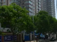 中间楼层,业主诚意出售,对付款方式没要求