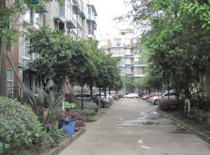 香洲南亭2室1厅南