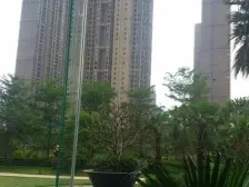 南向4房,小区中间位置安静,低楼层,保养新