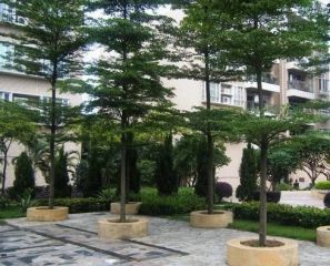 天福苑3室2厅西南