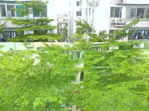 新辉楼3室2厅东南