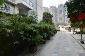 小通巷8号3室1厅东北
