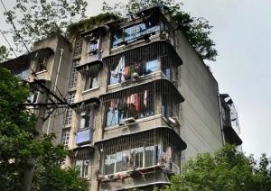 清溪东路1号 3室1厅 东南