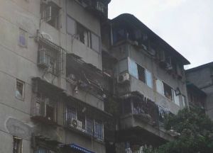 清溪东路1号 3室1厅 南