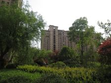 花城 精装修 大三房 三开间朝南 户型好 中层