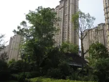 中南世纪花城一期 2室1厅 东南 南