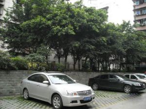 金城商住楼3室1厅南